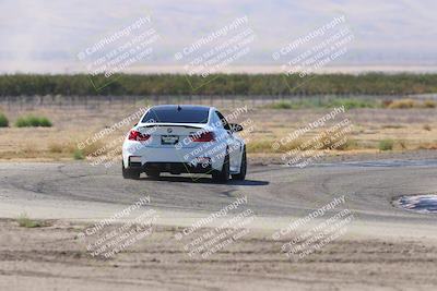 media/Oct-04-2025-OnGrid (Sat) [[44bd565ffa]]/Green Group/Grapevine/